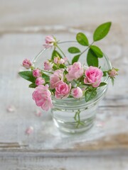 pink flowers in a vase