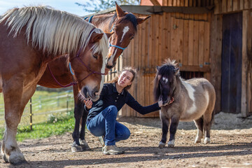 Friendship between a woman and her horses: Random horsemanship paddock scene