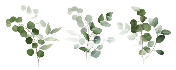 Watercolor bouquet of leaves and eucalyptus branch. Botanical herbal illustration for wedding or greeting card. Hand painted spring composition isolated on white background.