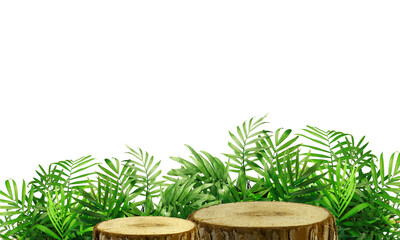 Two tree stumps with green leaves on a white background, amidst a natural landscape. The contrast of wood against the sky and grass creates a serene and peaceful scene