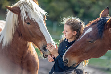 Friendship between a woman and her horses: Random horsemanship paddock scene