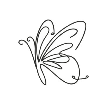 a drawing of a butterfly