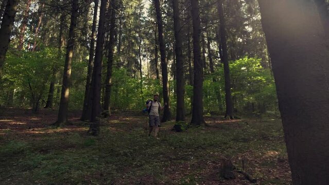 Solo Tourist with backpack Hiking use trekking poles on Adventure Trip in Natural Woods Landscape. Wide shot slow motion in front of Walking Person on trail in forest. Inspiring Outdoor Activities