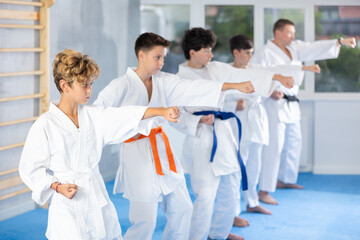 Fototapeta na wymiar Group lesson in karate or taekwondo for kids in modern gym. Practicing kicks
