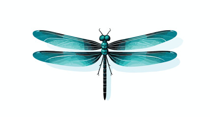 Dragonfly. Vector illustration. flat vector illustr