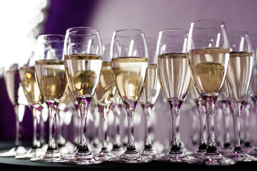 Golden bubbles rise in slender glasses, illuminating a moment of toast and cheer under the soft, ambient light.