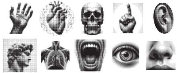 Human organs halftone. Skull, head, eye, ear, mouth, nose, hand, heart, lungs. Black and white drawing on a transparent background. Black silhouette, vector set.