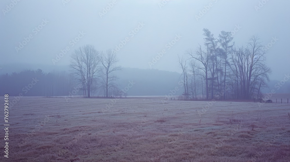 Poster a foggy field with trees and a bench in the foreground and a foggy sky in the background.