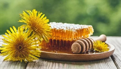  composition with tasty honey honeycomb dippers and dried dandelion flowers on green background © RichieS