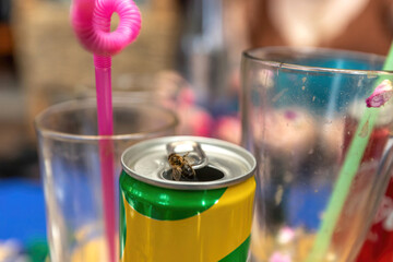 Danger of wasp and bee sting in summer: A bee crawling in a tin at a restaurant