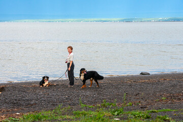 A woman walking her dogs on the sea shore