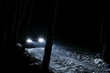 sports car with high beam on in a winter pine forest at night, front and background blurred with...