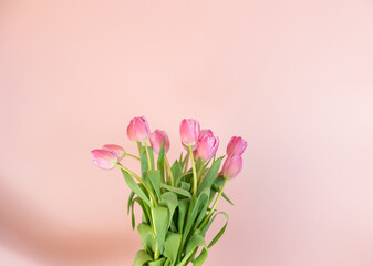 Pink Spring Flowers Tulips, Light Baby Girl Pink Background Beautiful Sweet Cheerful Wallpaper, May Mothers Day, Grow and Bloom, Joyful Seasonal 