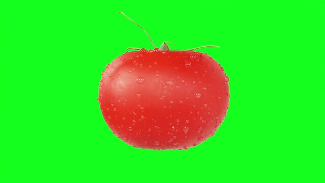 Tomato rotation on green background. 3D animation	