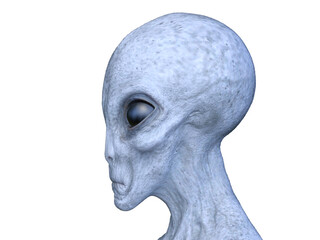 エイリアンの頭　3DCGレンダリング