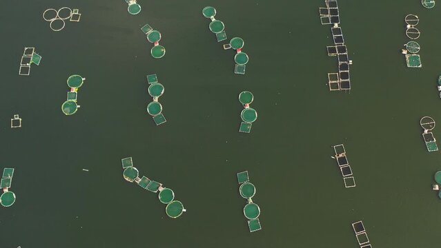 Fish farm with cages for fish and shrimp. Fish ponds for bangus, milkfish. Farming aquaculture or pisciculture practices. Philippines, Luzon.