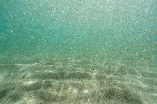 Underwater floating particles of sand. High quality photo