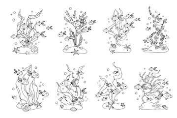 Obraz premium Collection of sketches, doodles of decorative fish in algae on sand islands, Vector graphics.