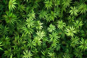 Lush Green Tropical Leaves Background - Vibrant Nature Detail Texture with Dense Vegetation - obrazy, fototapety, plakaty