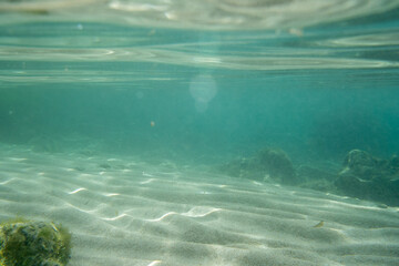 Fototapeta premium Algae rock underwater green reflection. High quality photo