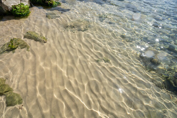 Surface of the sea in sunny weather. High quality photo