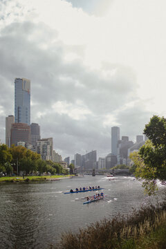 rowing people on the yarra river in front of skyline of melbourne