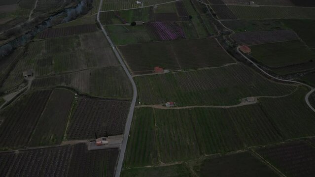 Aerial video of Sierra Aitana with almond trees in bloom