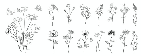 Set of flower hand drawn element vector. Collection of foliage, branch, floral, leaves, wildflower, petal, flower bouquet, butterfly. Spring blossom illustration design for logo, wedding, invitation. - obrazy, fototapety, plakaty