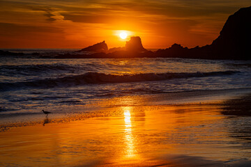Beautiful Beach Sunset in California