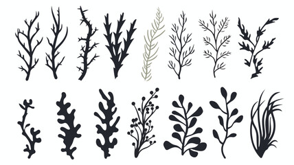 Hand drawn monochrome different seaweed with stones