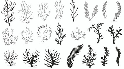 Hand drawn monochrome different seaweed with stones - obrazy, fototapety, plakaty