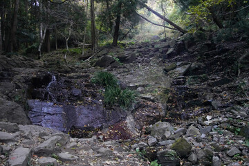 白滝　茨城県つくば市