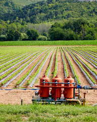 Red Tanks and Rows of Crops on a French Farm