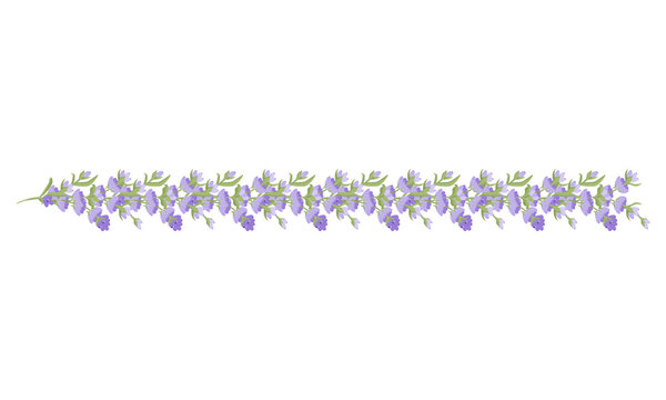 Decorative border of lavender flowers for your design. Vector illustration isolated on white background.