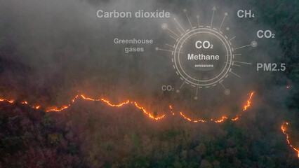 Bushfires in tropical forest release carbon dioxide (CO2) emissions and other greenhouse gases (GHG) that contribute to climate change. - obrazy, fototapety, plakaty
