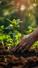 Person planting a tree in a lush garden, soft morning light, closeup on hands, symbol of growth and sustainability