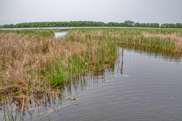 Rice Lake State Park is located in East Central Minnesota - 762870686
