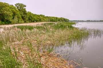 Rice Lake State Park is located in East Central Minnesota - 762870694