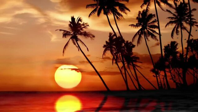 sunset on the beach seamless looping 4k animation video background
