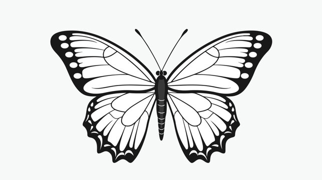 Vector isolated one single double butterfly colorle