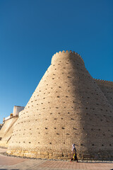 Fototapeta na wymiar The Ark of Bukhara outside walls. The Ark Citadel is an ancient massive fortress