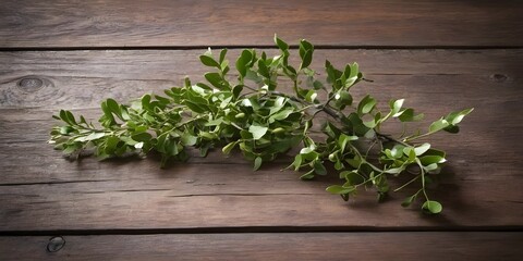 A stunning mistletoe branch delicately hanging from a wooden surface, its vibrant green leaves contrasting with the rustic backdrop