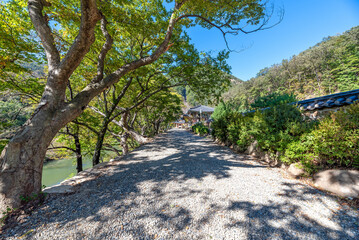 영동 반야사 진출입로 주변의 풍경-Landscape Around the Entrance of Banya Temple, Yeongdong, South Korea