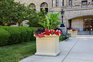 Large planter with beautiful mixed flowering plants including verbena, petunias and pelleted petunias and sidekick black heart plants at the BG Municipal Court. - obrazy, fototapety, plakaty