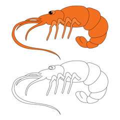 Sea Animal Clipart. Shrimp Clipart Set. Colorful and Outline Shrimps