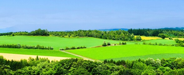 Naklejka premium 北海道の田畑の雄大な風景、北海道の農地の風景