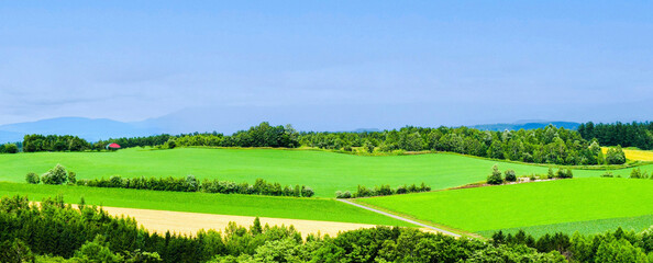 北海道の田畑の雄大な風景、北海道の農地の風景