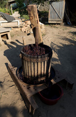 Wine making. The squeezer is used to press the wine. Dishes for collecting juice. Technology of...