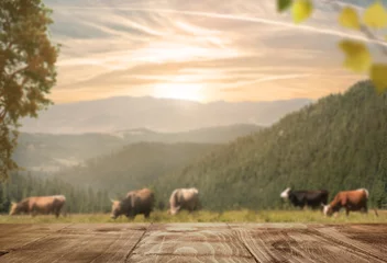 Fotobehang Sunset Over Pastoral Landscape with Cows and Wooden Table © olegkruglyak3