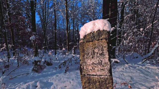 Close-up panning shot of a small stone obelisk that is standing alone in a snowy forest with a snow hat, the text on it is unreadable